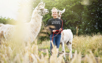 “Lamas als achtsame Lehrer: Wie sie uns helfen, zu uns selbst zu finden und unsere Persönlichkeit zu entwickeln”